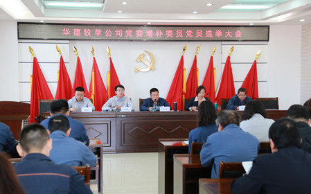 標(biāo)題：華德牧草公司召開黨員大會
瀏覽次數(shù)：976
發(fā)表時間：2024-04-29