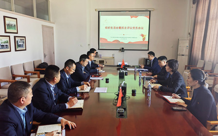 標題：銷售黨支部召開組織生活會暨民主評議黨員會議
瀏覽次數(shù)：986
發(fā)表時間：2025-02-26